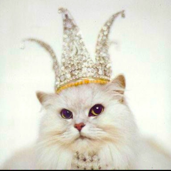 Meet your Posher, Alicia - Picture 1 of 1